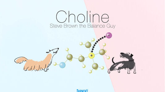 Focus on Nutrients Part 2: Choline