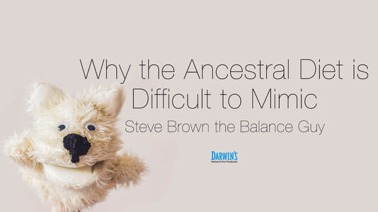 The Dog’s Ancestral Diet