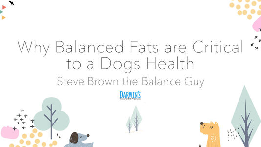 Why Balanced Fats Are Critical to a Dog’s Health: Part 2