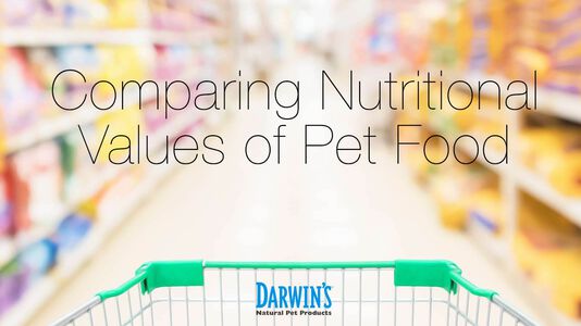 Comparing Nutrition in Pet Foods