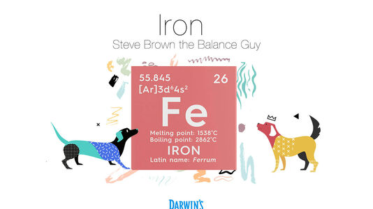 Focus on Nutrients Part: 2 Iron (Fe)