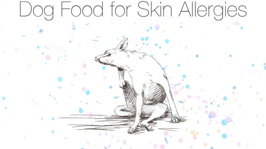 Dog Food for Skin Allergies?