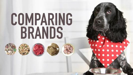 How To Compare Dog Food Brands