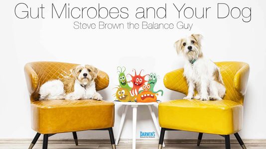 Gut Microbes and Your Dog