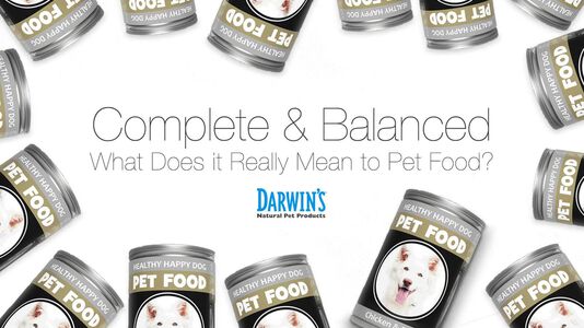 Complete and Balanced Dog Diets