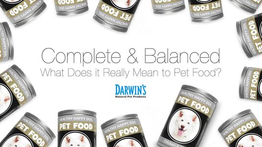 Complete and Balanced Dog Diets