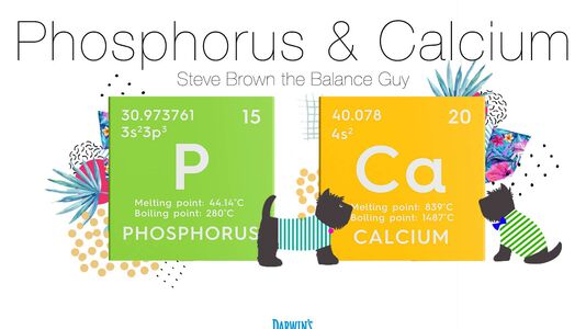 Focus on Nutrients: 2 Calcium and Phosphorus
