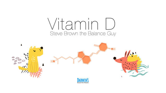 Focus on Nutrients Part:2 Vitamin D