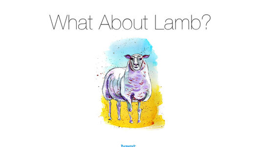 What About Lamb? – Ask Darwin’s