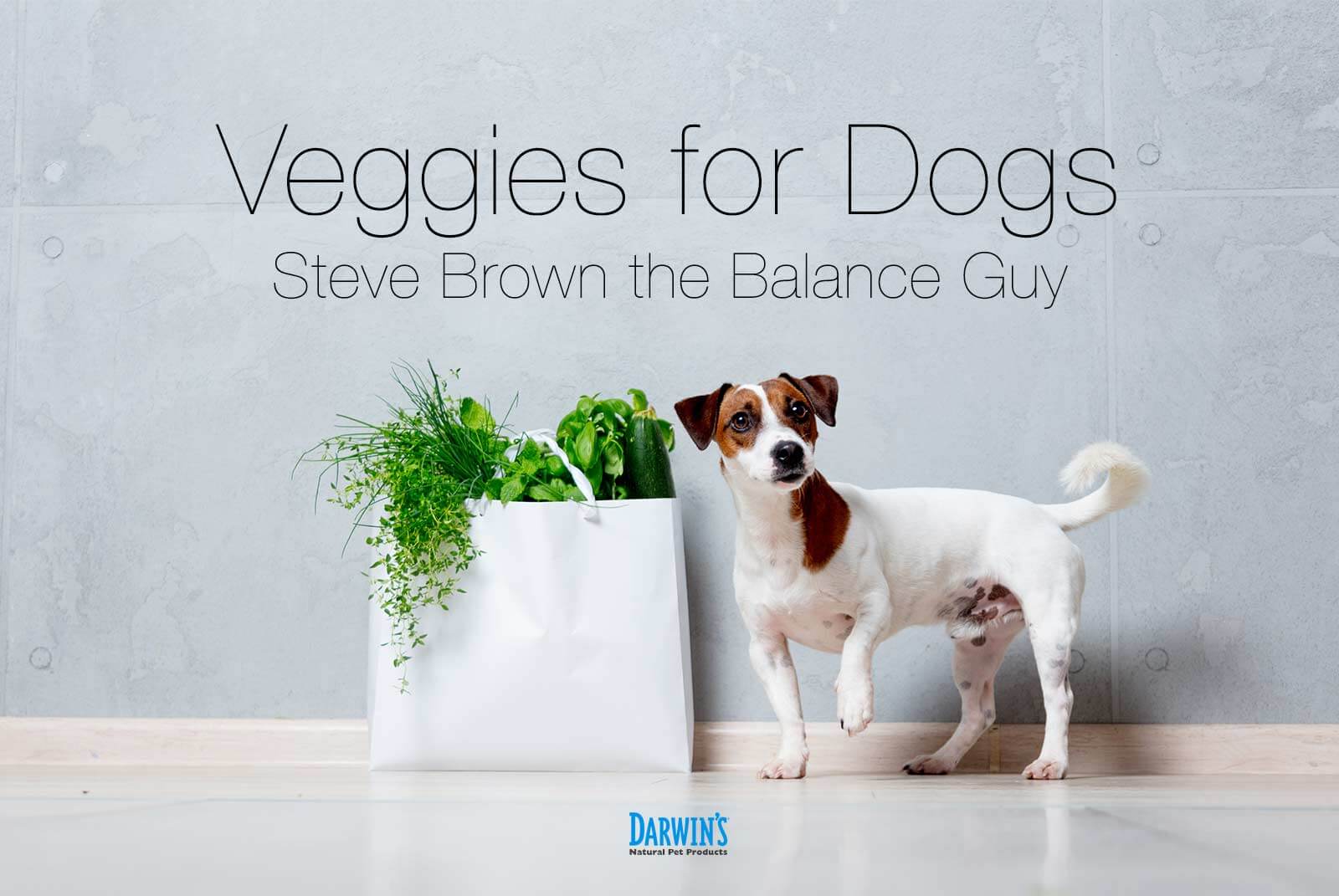 Yes; Vegetables for Dogs!