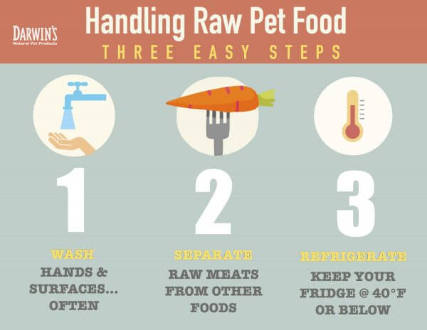 3 Easy Tips on Handling Raw Pet Food