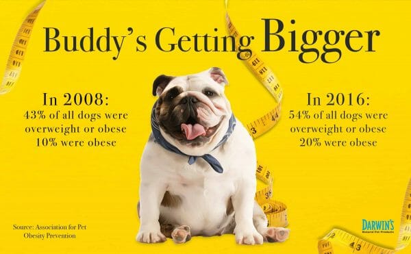 dog obesity data