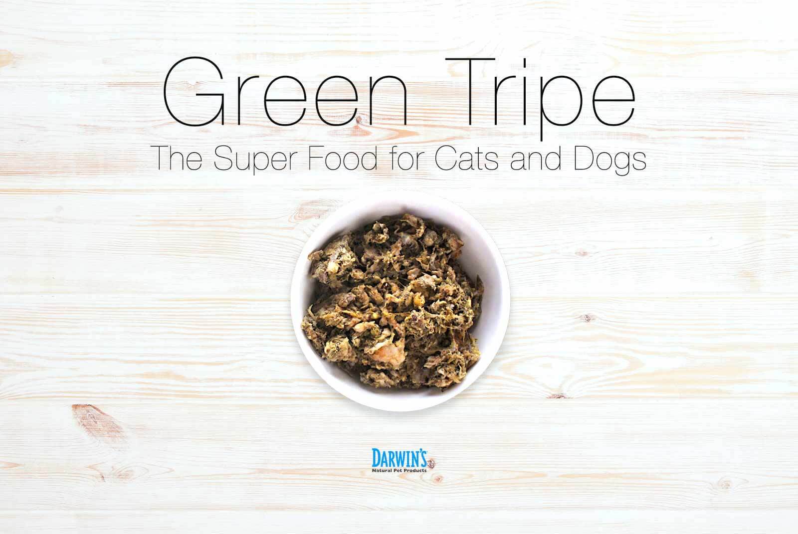 Green Tripe: The Superfood for Pets
