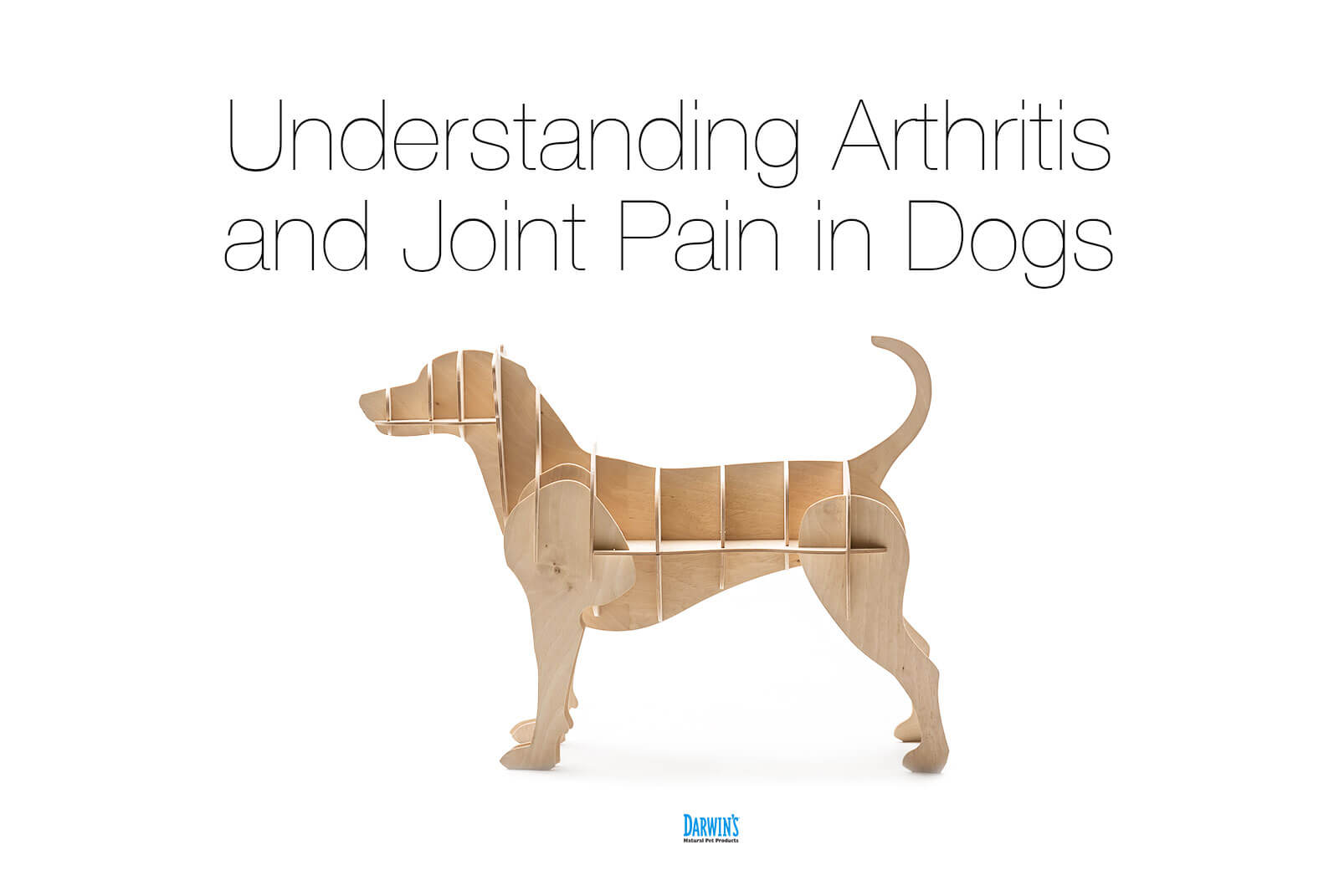 natural joint health for dogs