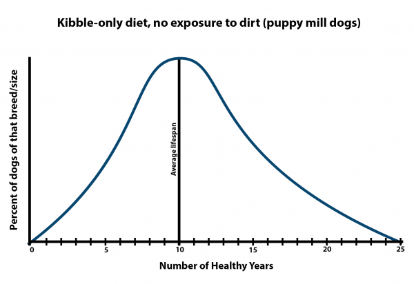 First-Curve