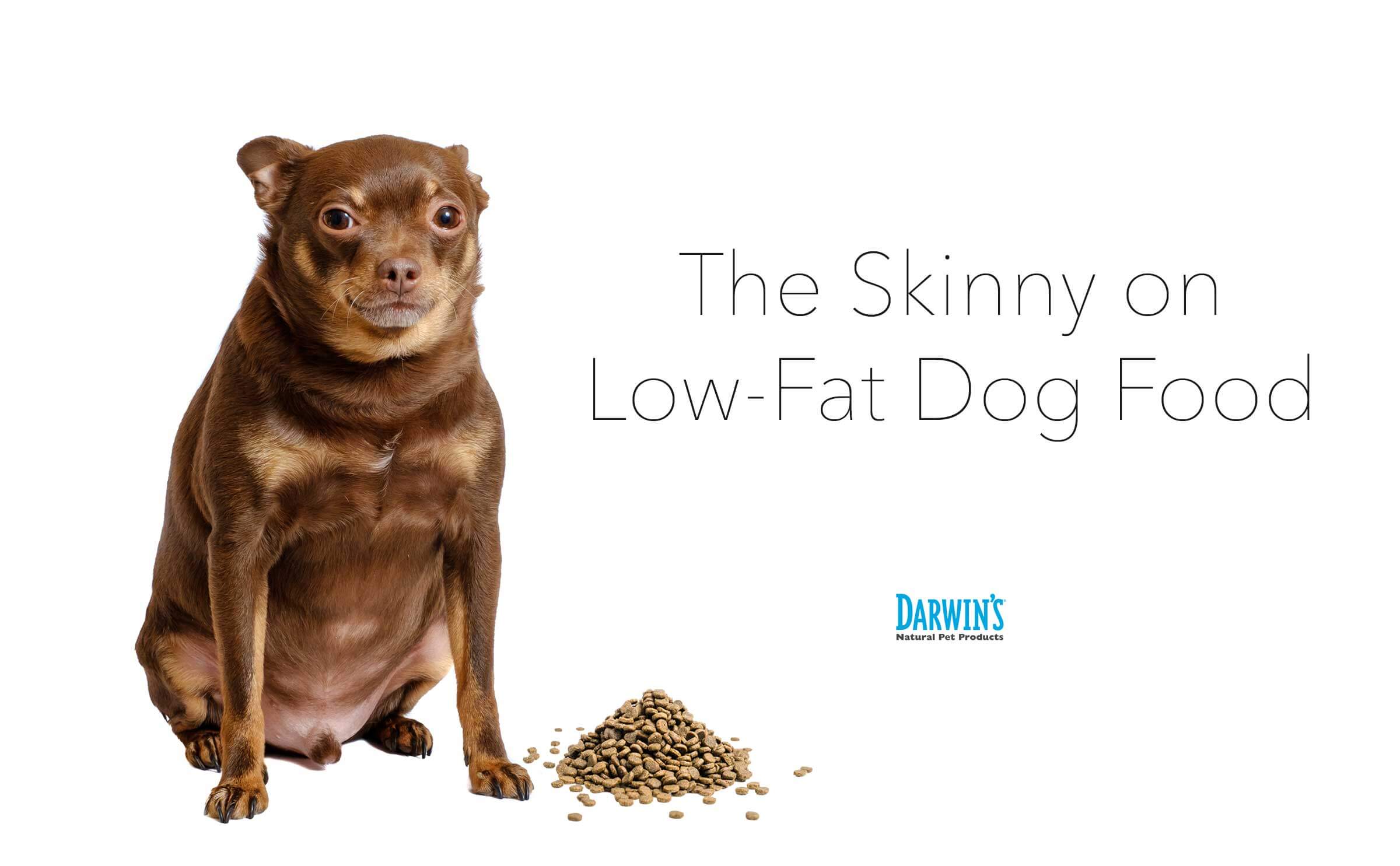 Low Fat Dog Food Darwin S Natural Pet Products Darwin S Pet Food