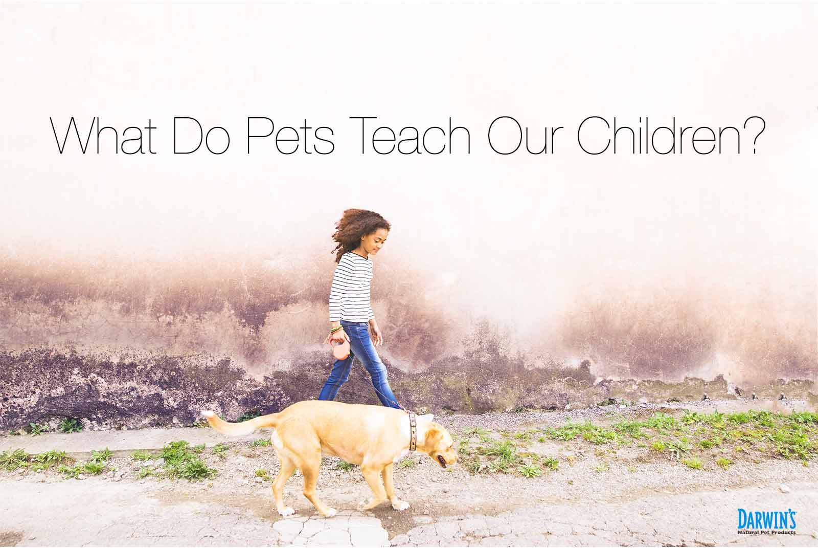 What Do Pets Teach Our Children?