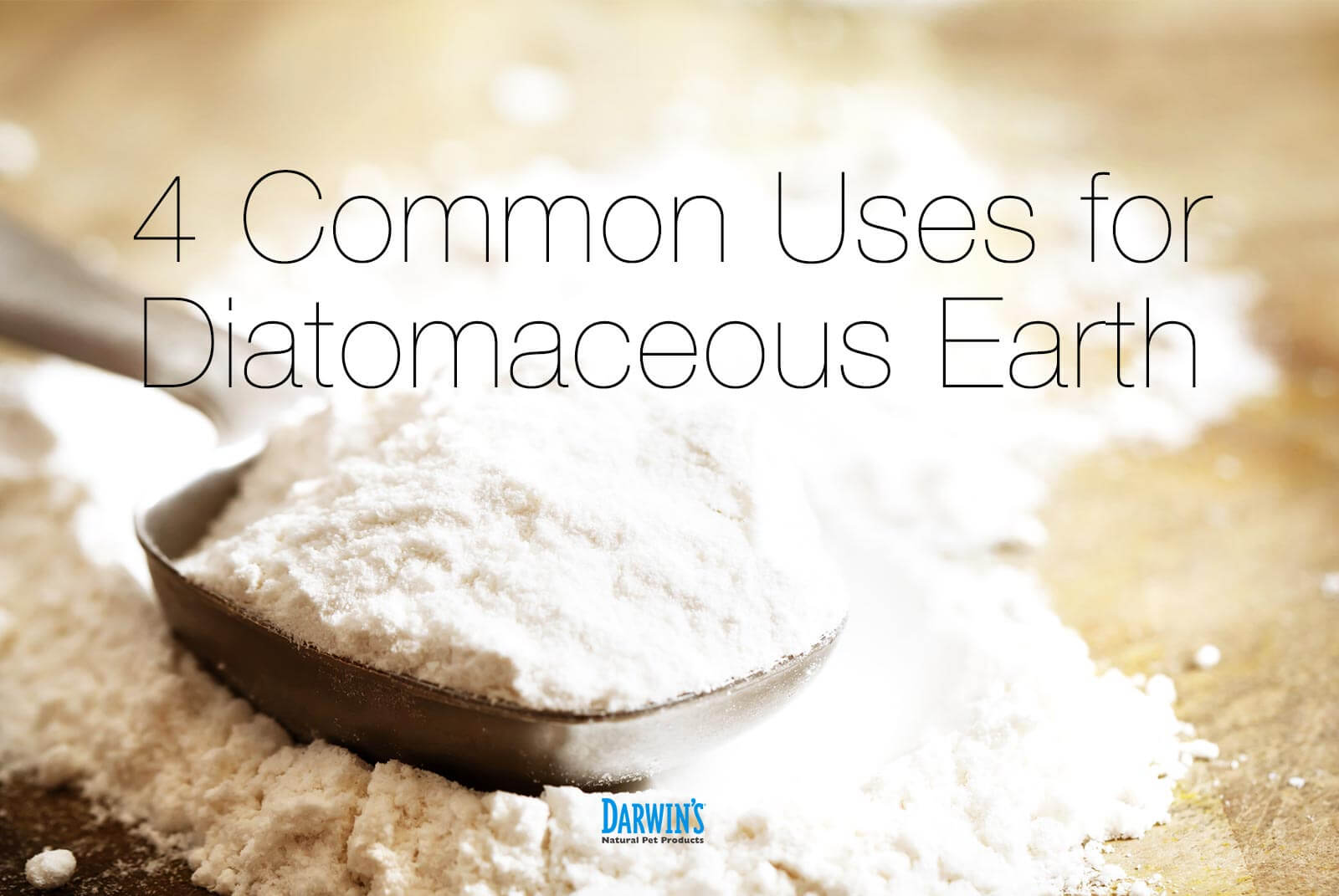 Fighting Fleas with Diatomaceous Earth