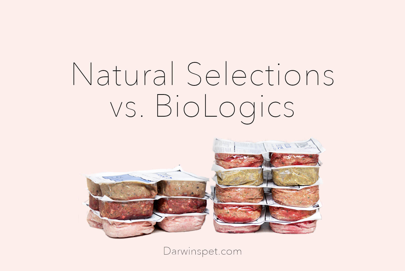 Which is the Best Food for My Dog: Natural Selections or BioLogics?