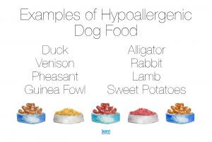 Examples-of-hypoallergenic-dog-food