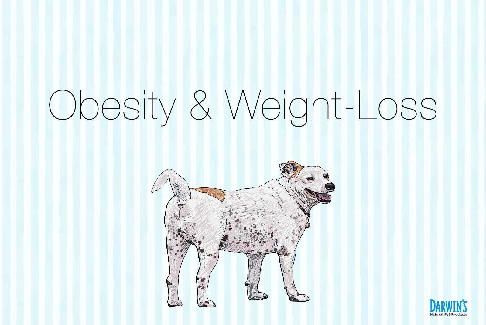 Dog Obesity & One Dog’s Weight Loss