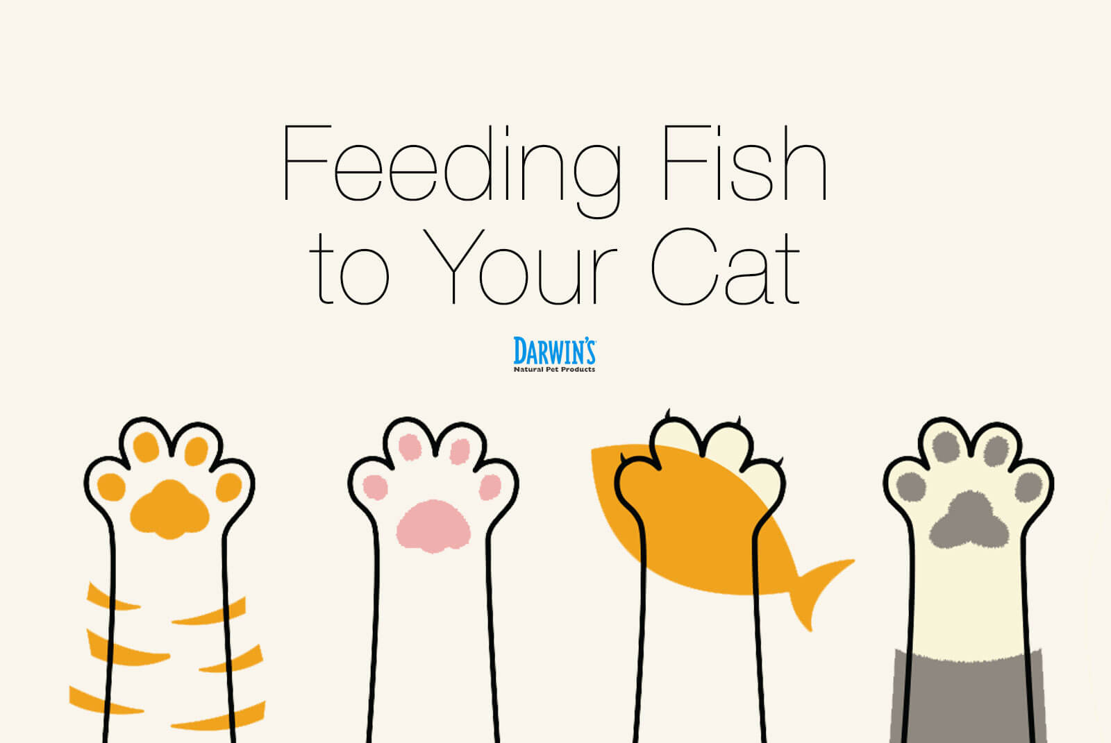 Cats & Fish: To Feed or Not To Feed