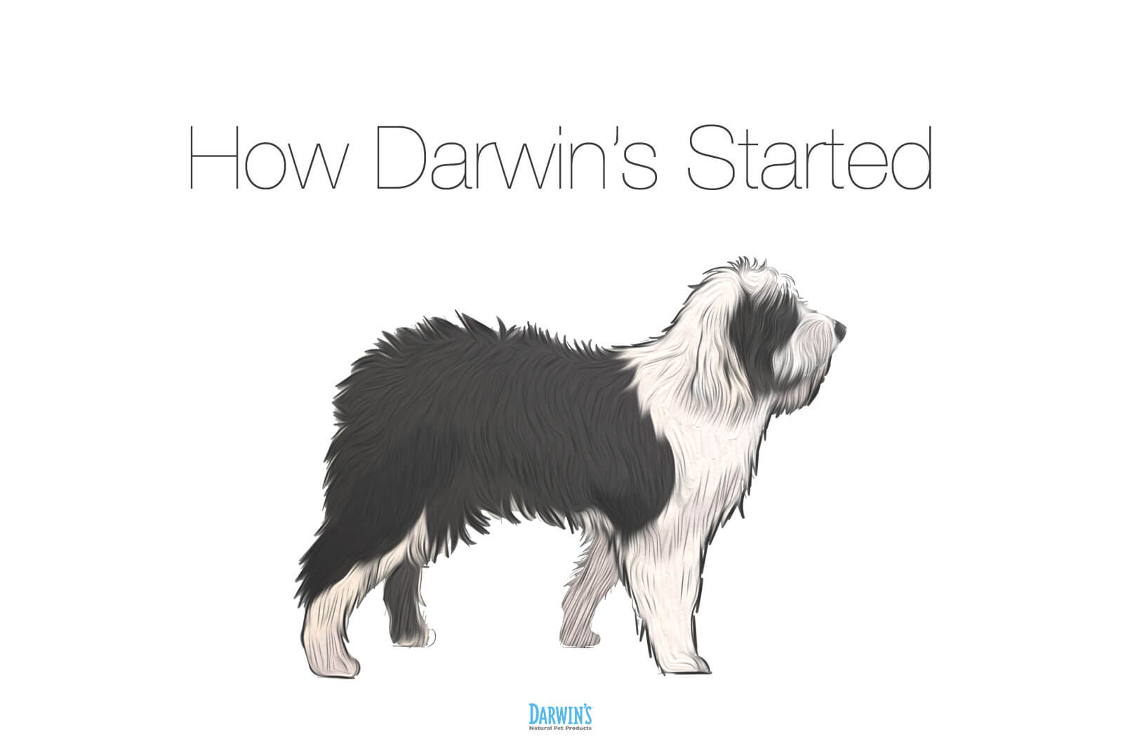 How Darwin’s Started