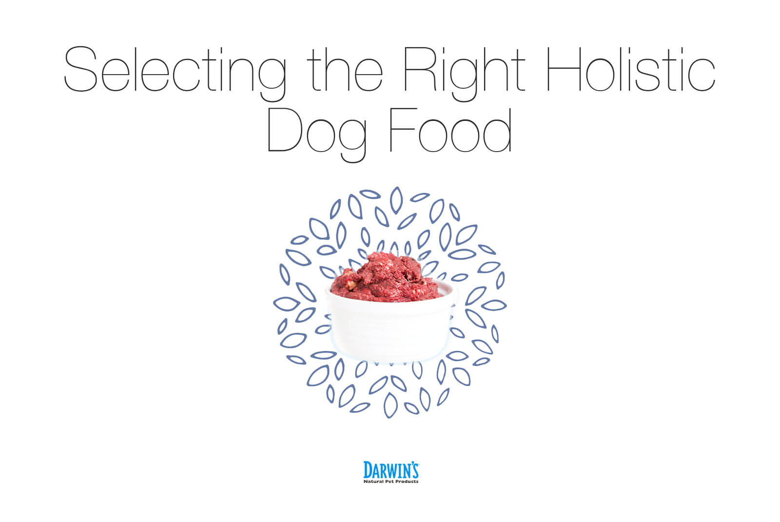 How to Select the Right Holistic Dog Food