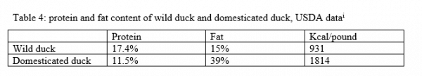 table4