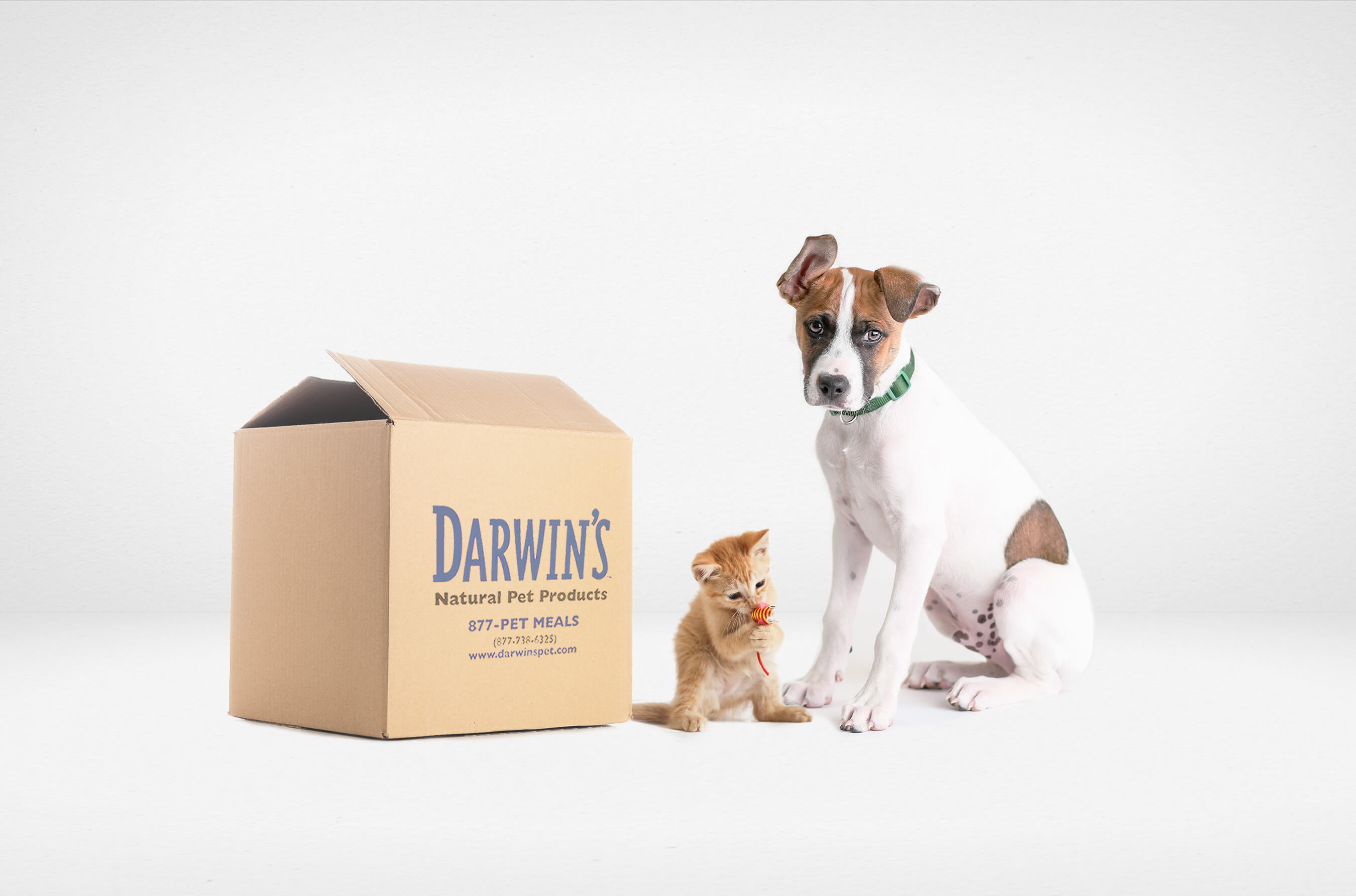 Darwin’s Adoption Program