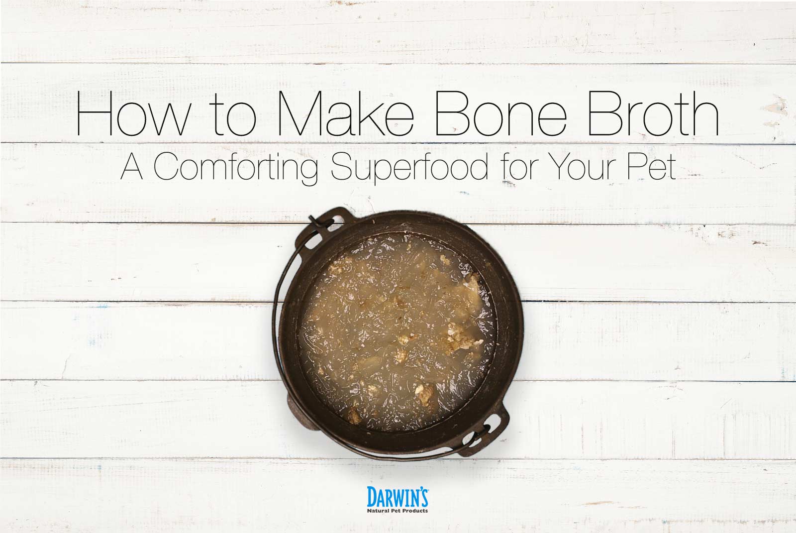 Bone Broth For Pets: Why & How