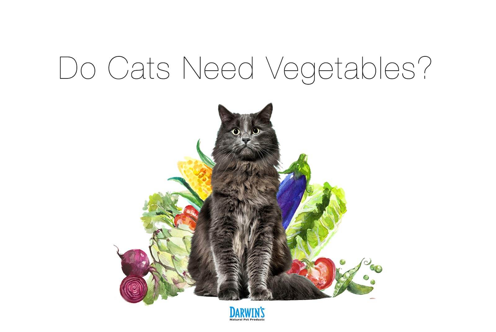Does My Cat Need Vegetables?