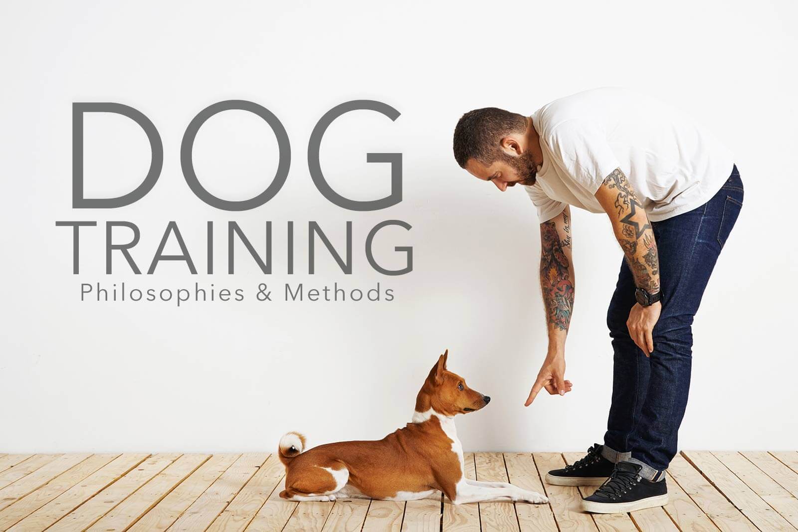 Dog Training Philosophies and Methods