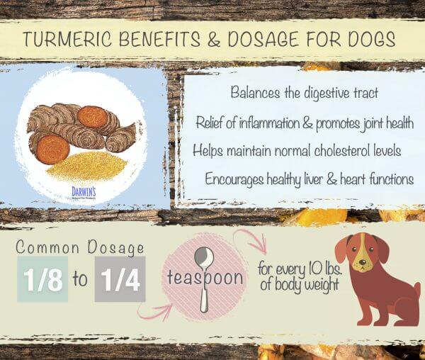 turmeric for dogs