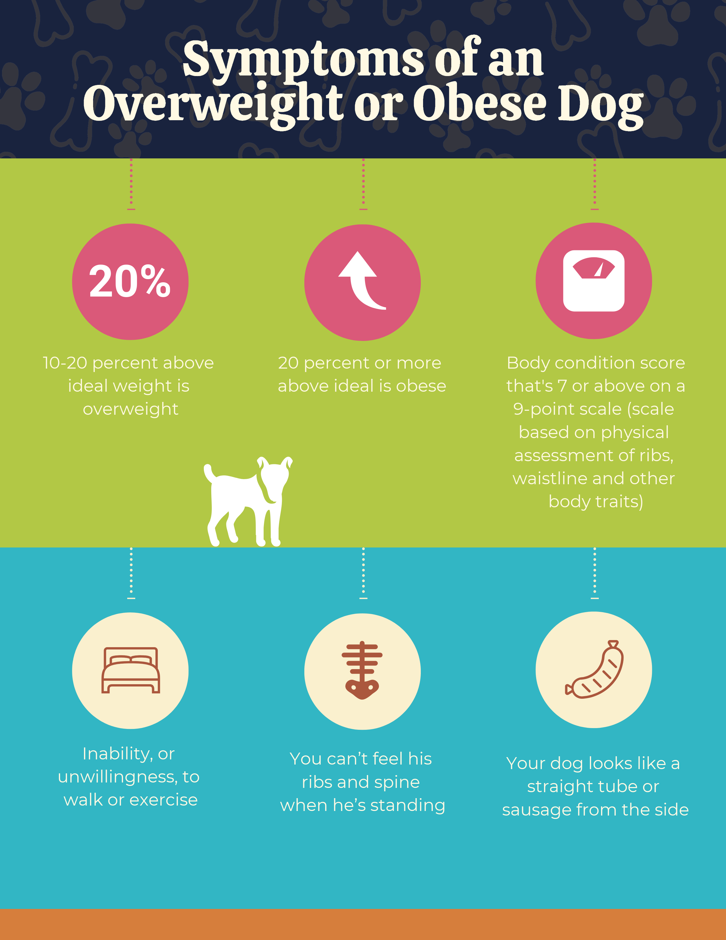 Obesity symtoms