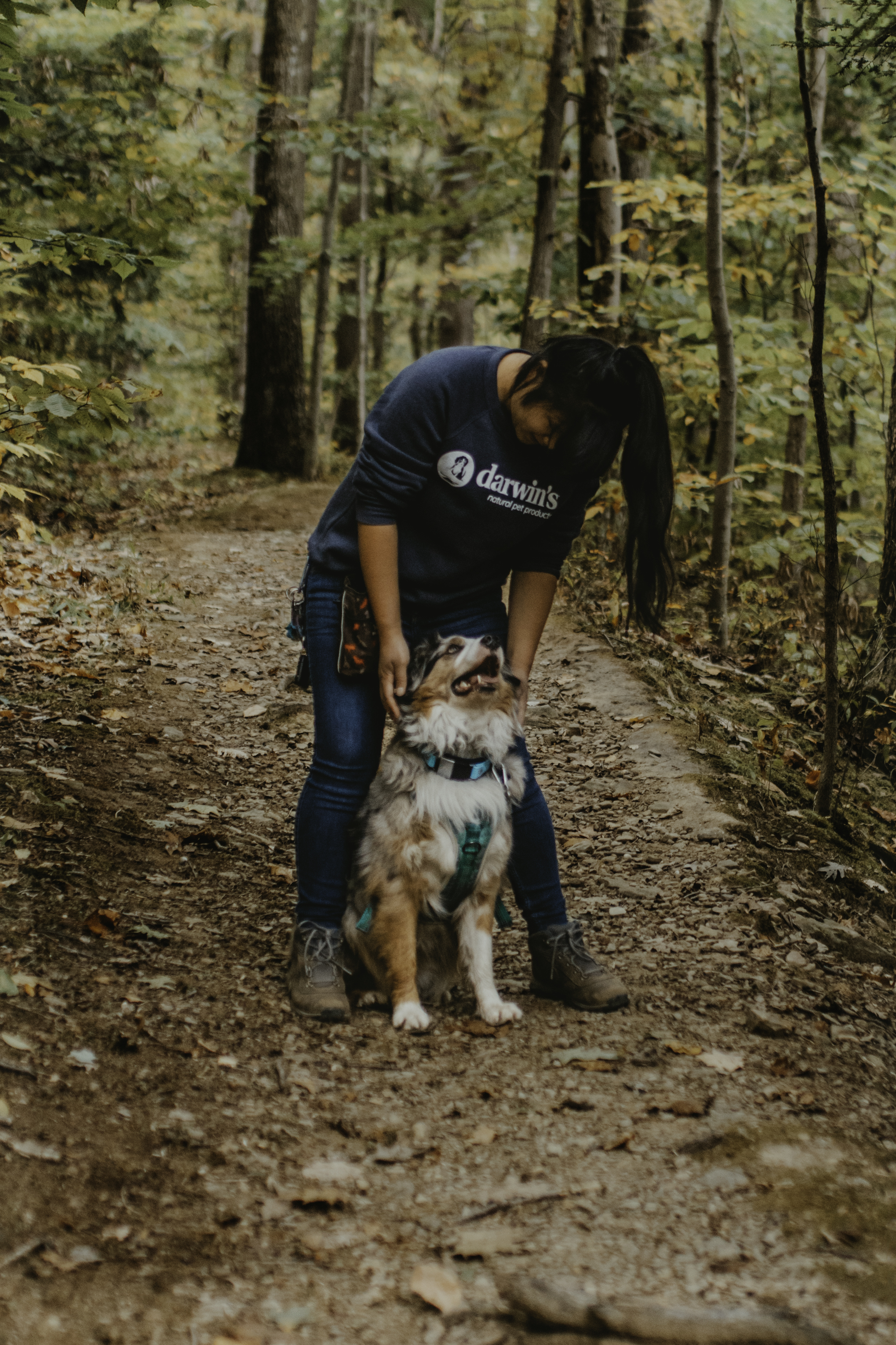 Should i feed my dog best sale before or after a walk