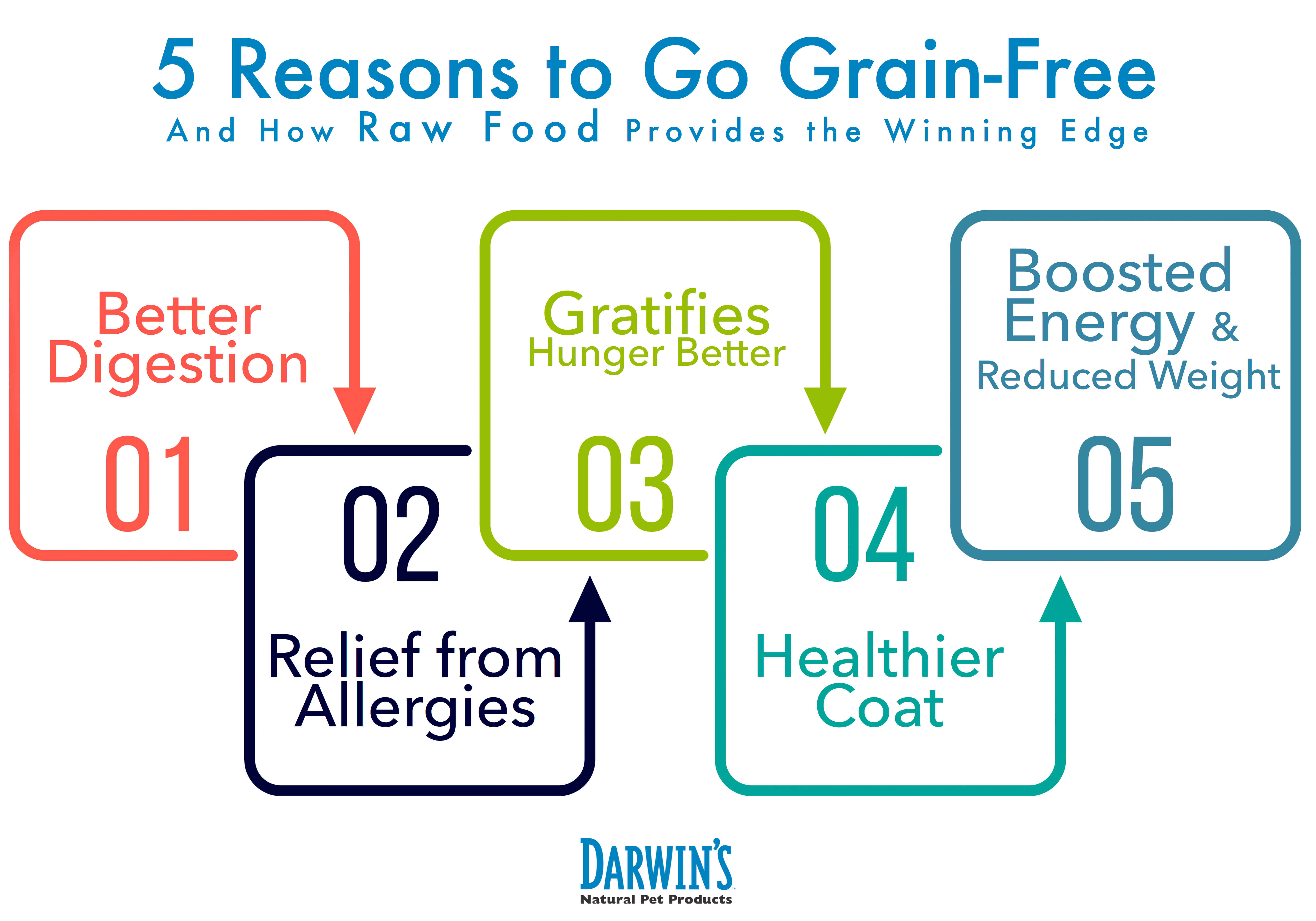 Grain Free Dog Food Benifits