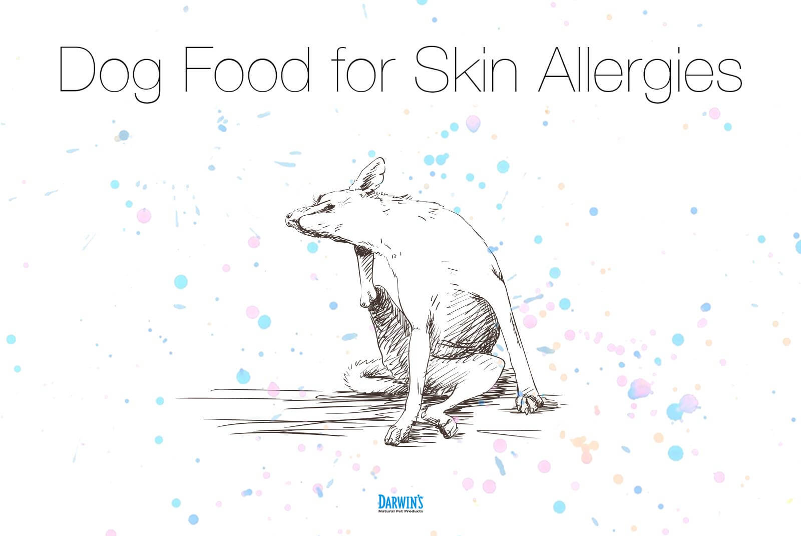 Dog Food for Skin Allergies?