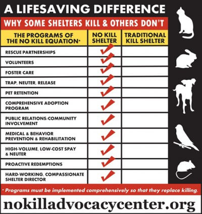 Graph no kill shelters 