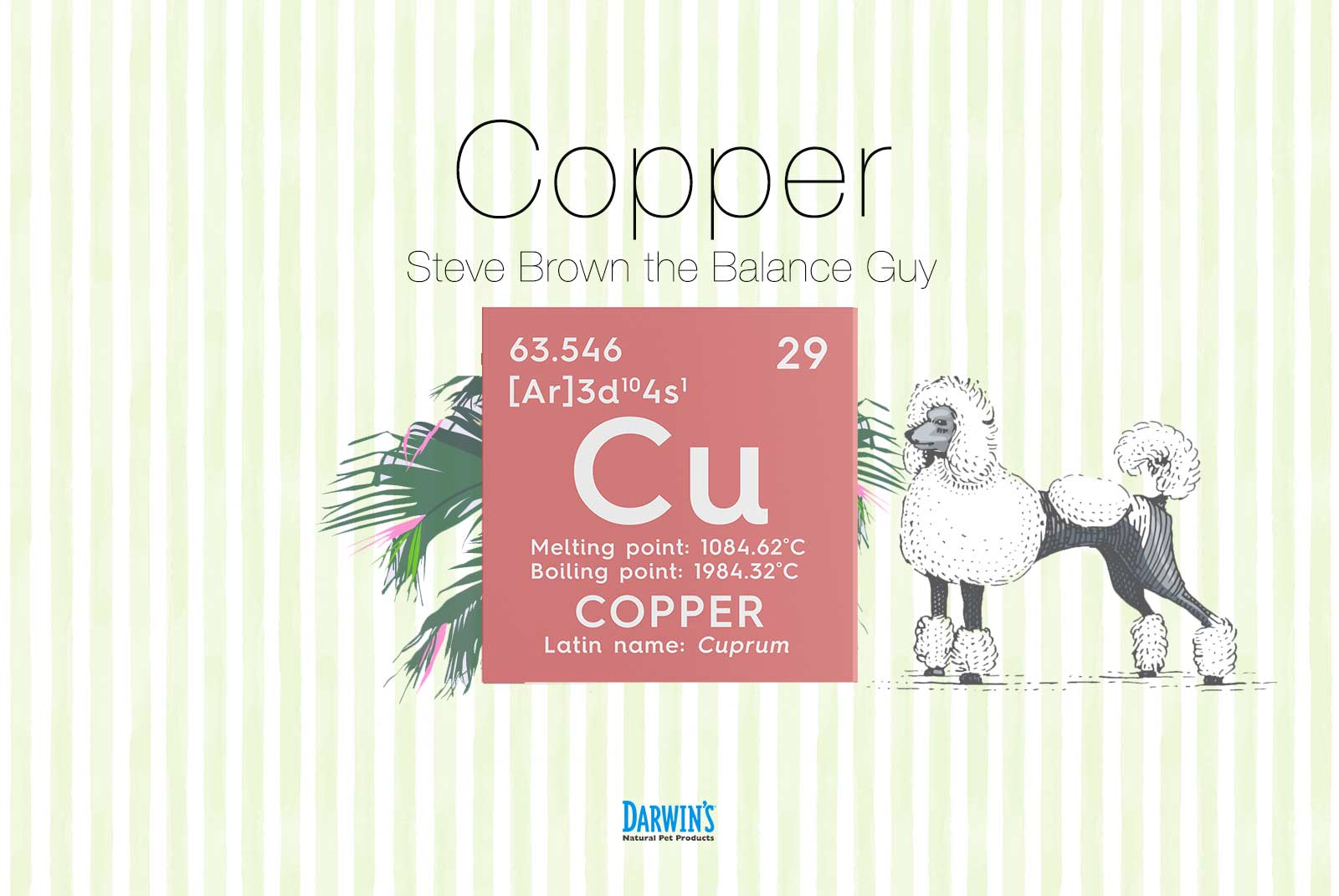 low copper diet for dogs