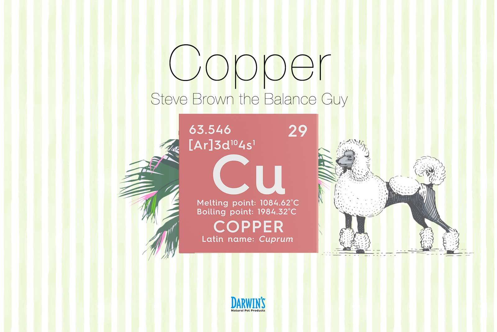 Focus on Nutrients Part:2 Copper (Cu 