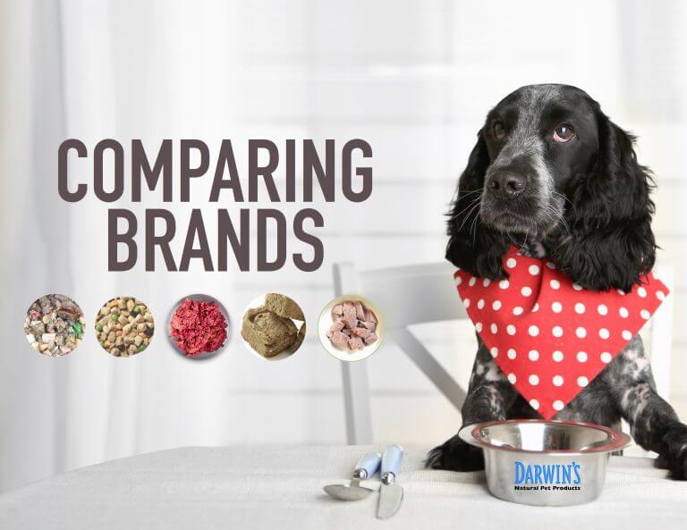 How To Compare Dog Food Brands