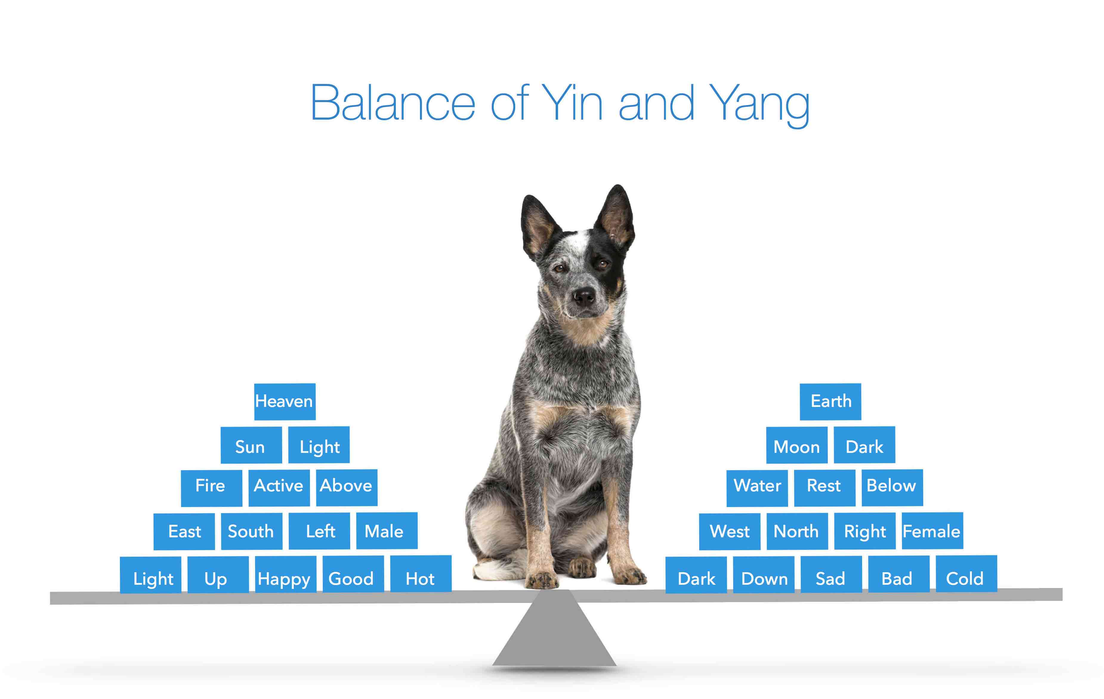 Yin and Yang Theory for Dogs