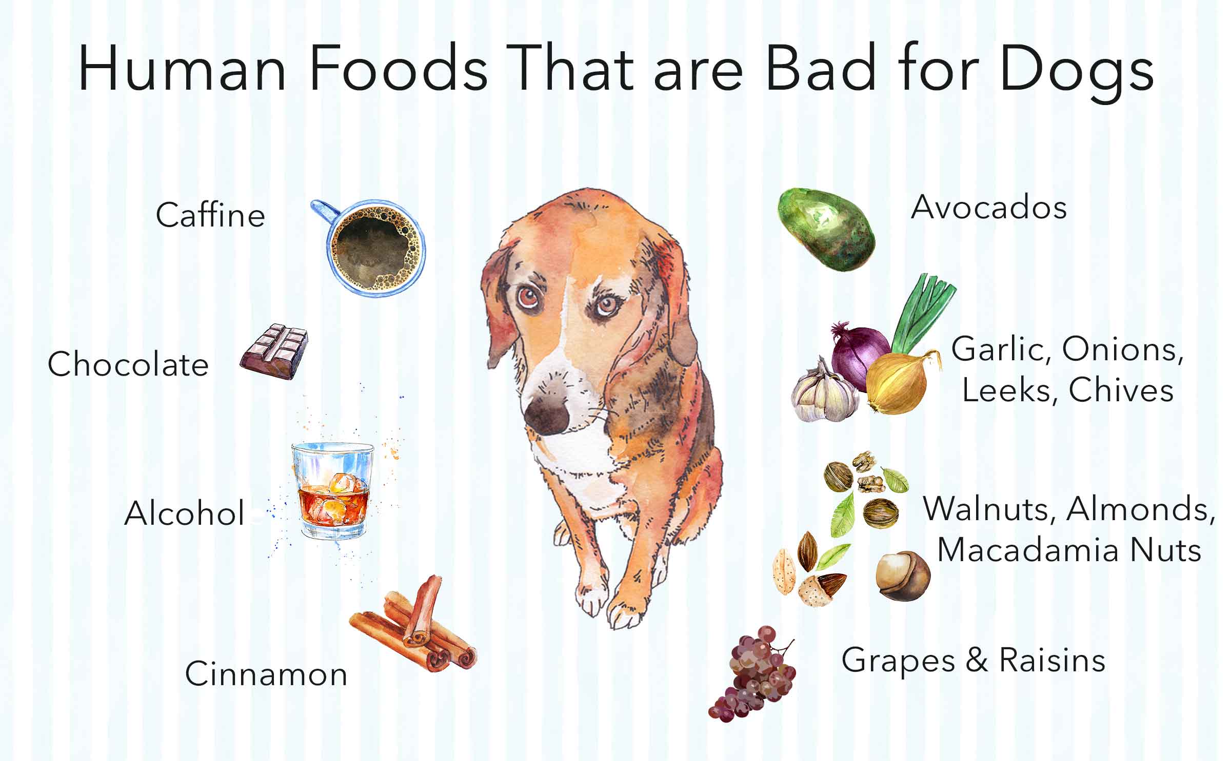 human-foods-that-are-bad-for-dogs
