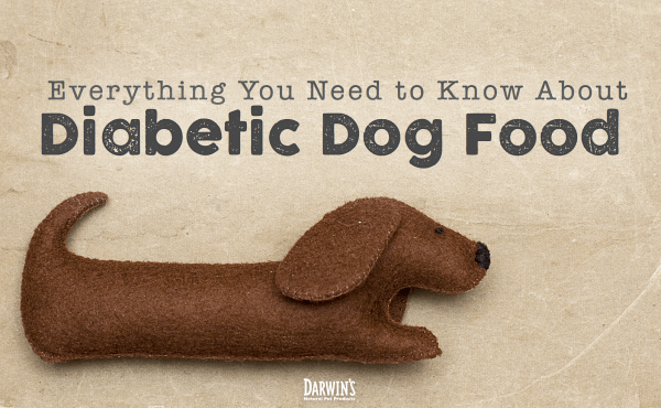 A Diabetic Dog Food Guide