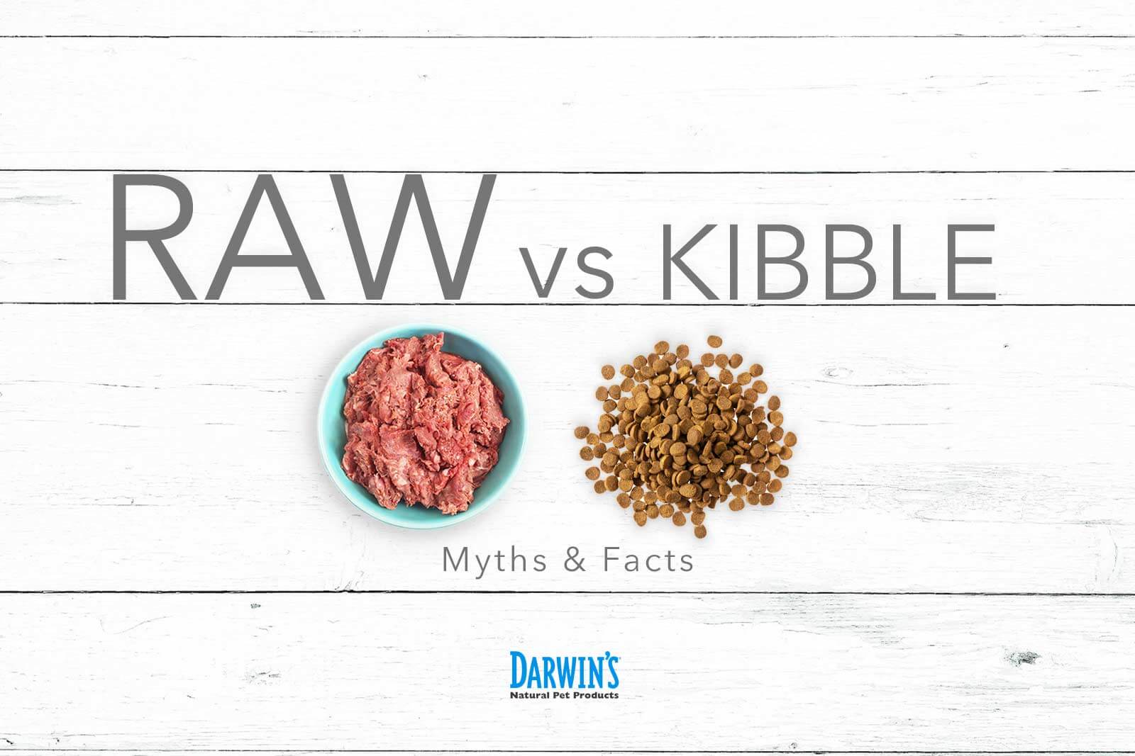 Myths About Kibble and Raw