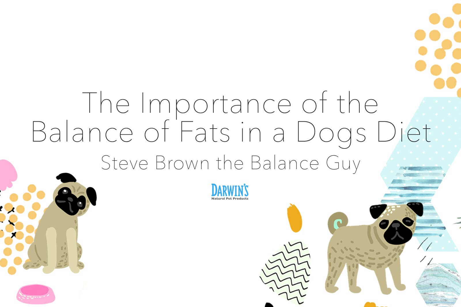 The Importance of the Balance of Fats in a Dog’s Diet: Part 1