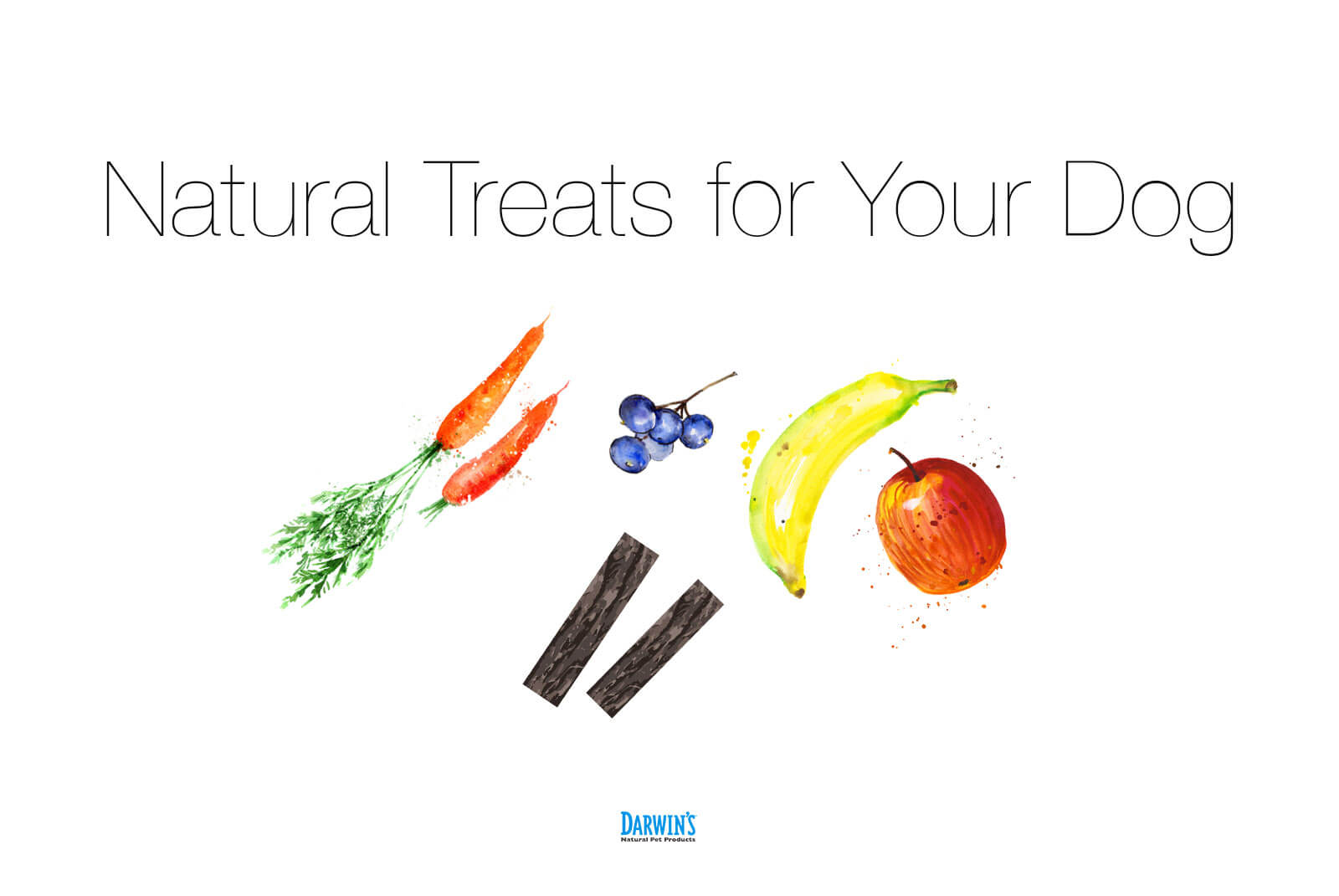 Natural Treats for your Dog