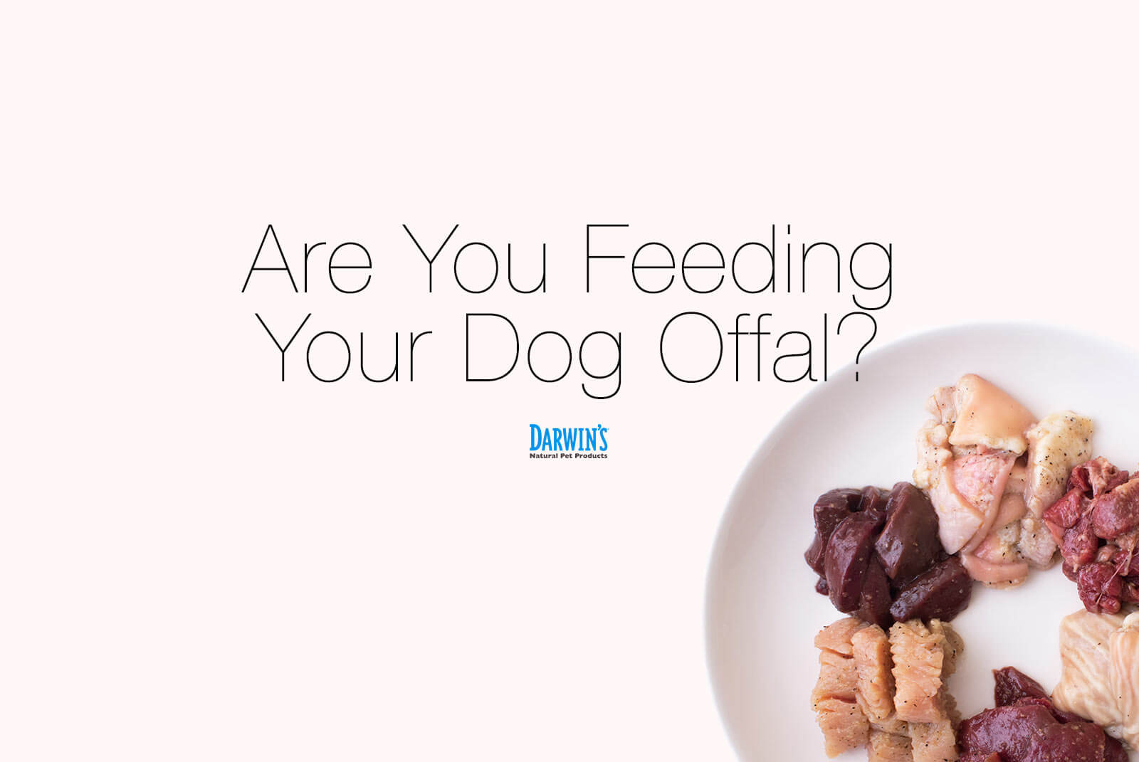 Are You Feeding Your Dog Offal?