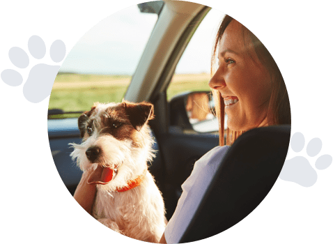 Darwin pet food login 2025